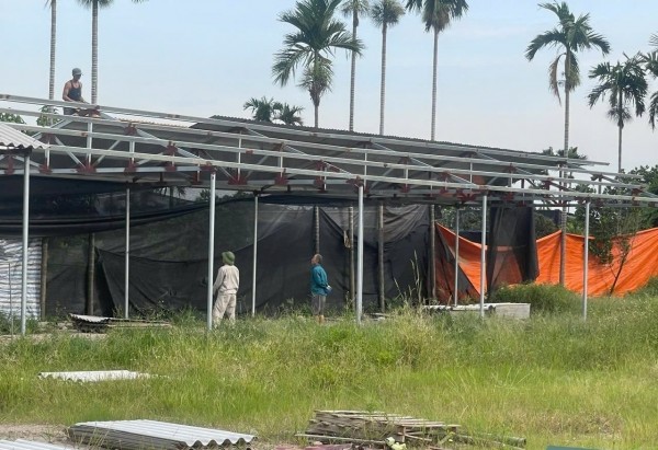 Hải Phòng: Quy trách nhiệm toàn diện cho Chủ tịch UBND cấp xã để xảy ra vi phạm đất đai